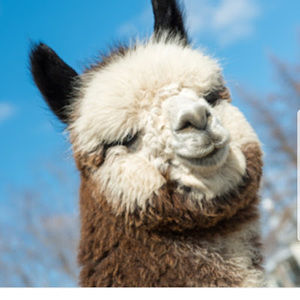 Meet your Posher, Michaela